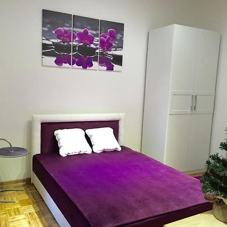 Apartment Mia Belgrad Oda fotoğraf